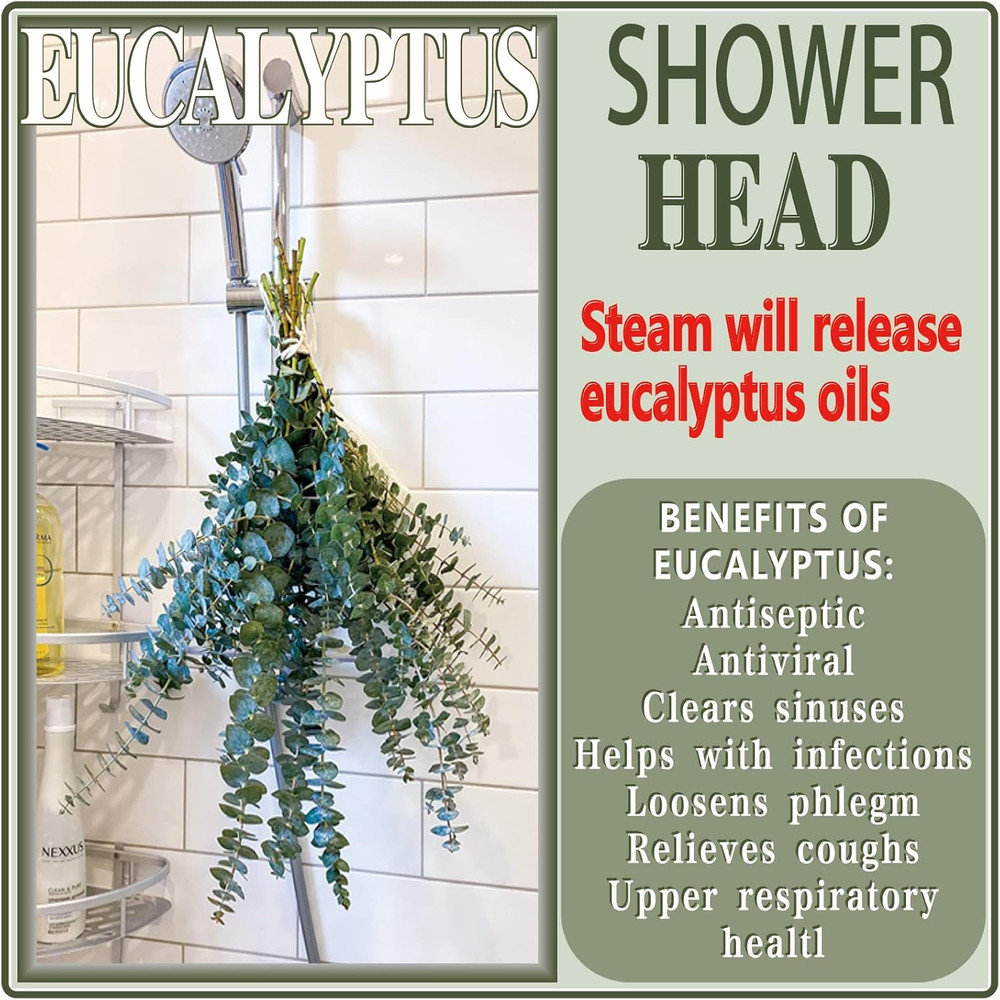 20 Pcs Preserved Dried Eucalyptus Stems, 17" Natural Fresh Eucalyptus Branches