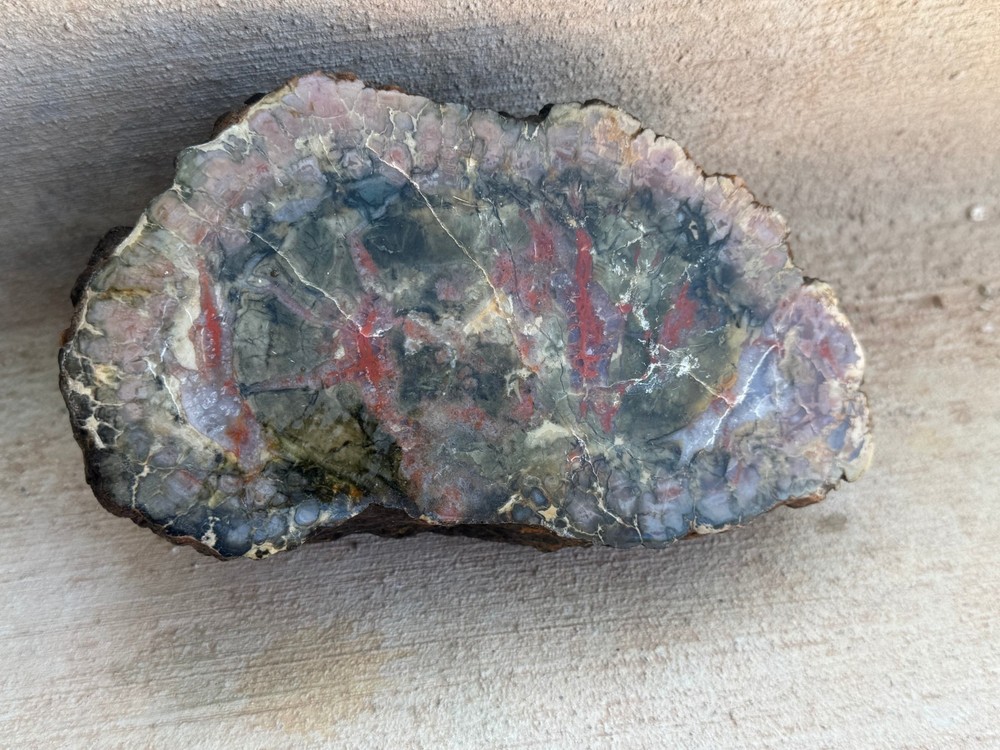 DINOSAUR CORPROLITE (FOSSILIZED DINOSAUR DUNG)