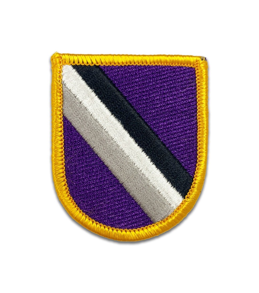 95th Civil Affairs Brigade Flash