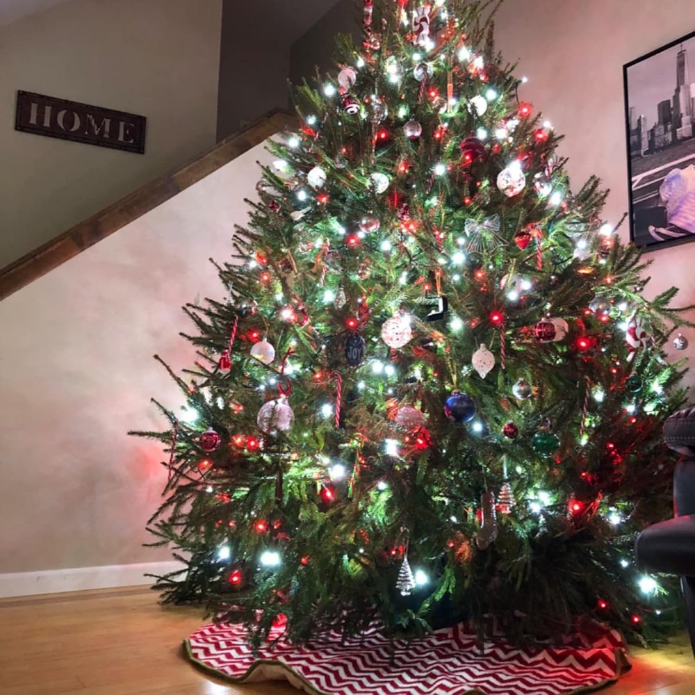 OZS Connectable Red and White Christmas 2Pack Total 400LED, &