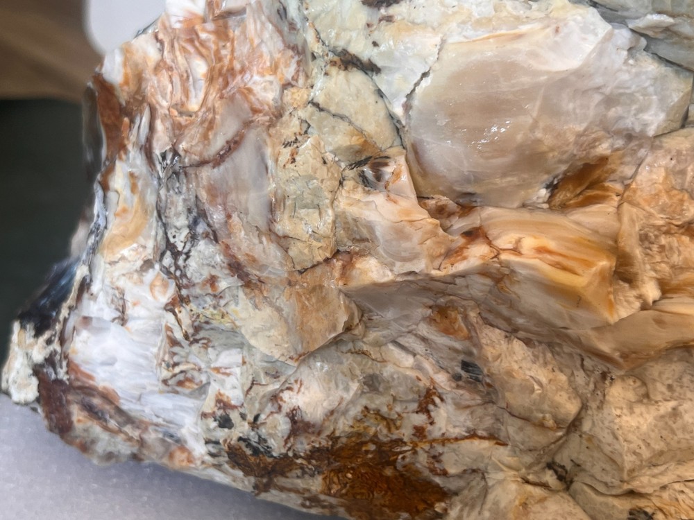 27 pound opalized agatized petrified wood display unique raw rare