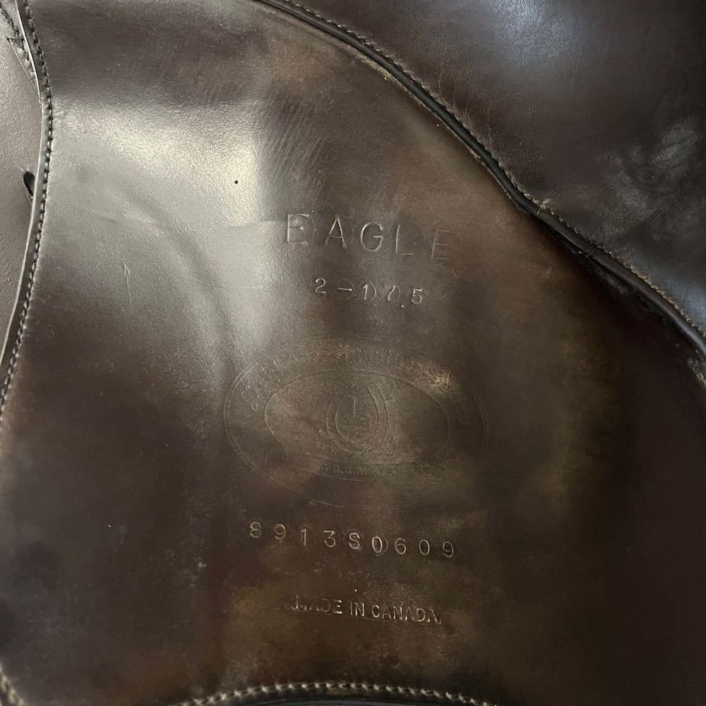 Used Schleese Eagle- Size 17.5" Jump Saddle Brown