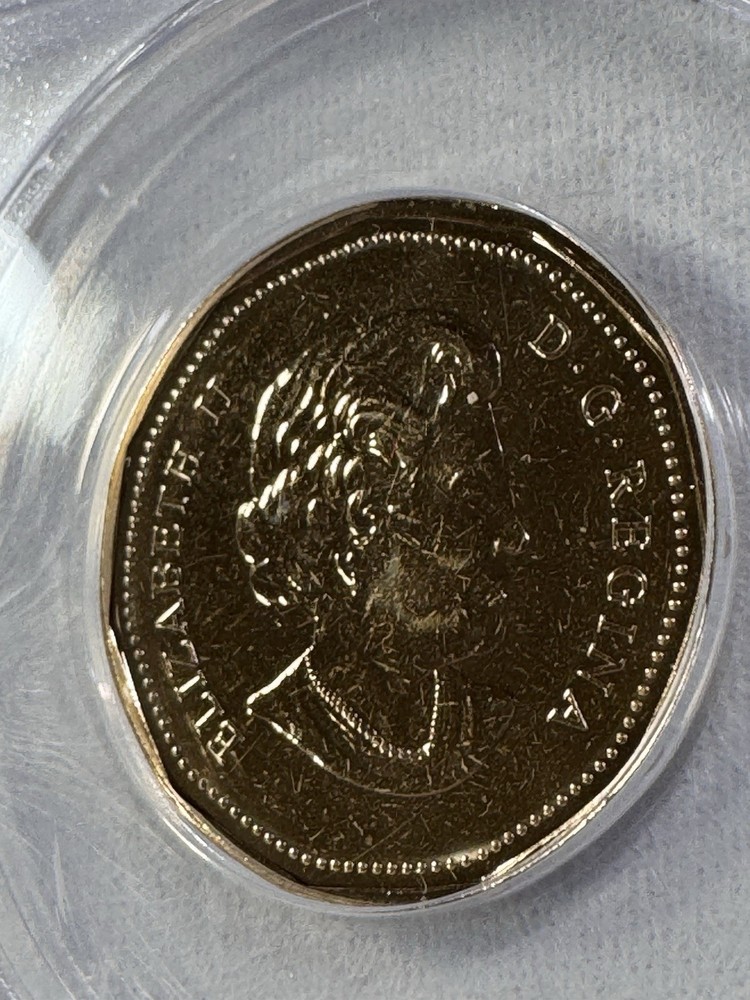 2004 Canada 1 Dollar Loonie Graded MS 67 by ANACS