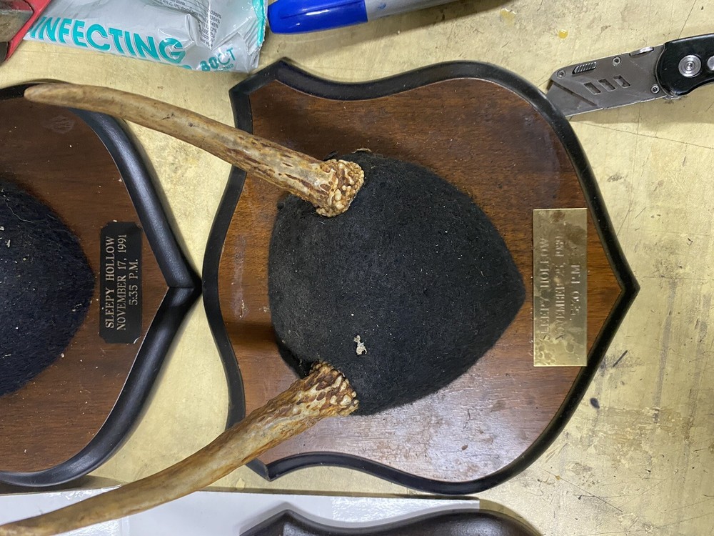 7 Antler Trophies on mounting plaques
