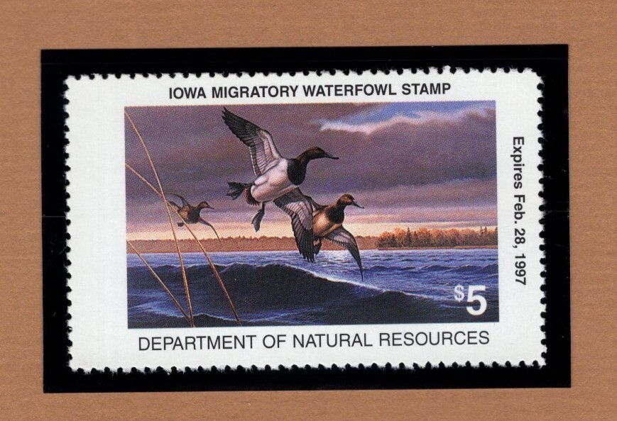 IA25 - Iowa State Duck Stamp.  1995 Single.  MNH. OG.