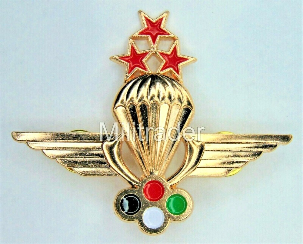 UAE Dubai pre 1987 Freefall Parachute Wings (1st Class) Badge (See Description)