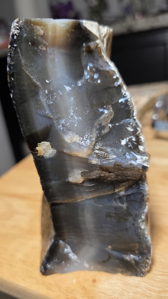 Montana Agate Rough 2lbs. 11oz.