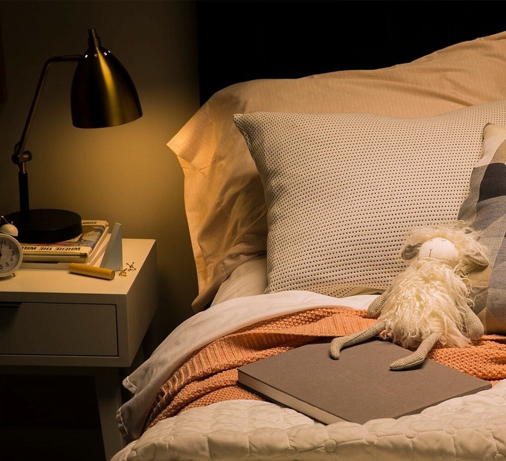 GE LED Light Bulbs, 100 Watt, Soft White, A19 Bulbs, Medium Base