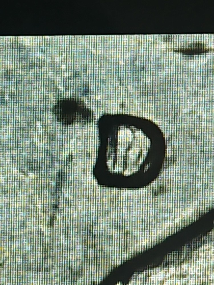 1979 D Susan B Anthony Dollar RARE Error Filled D Dot FG Error & E Pluribus Dot
