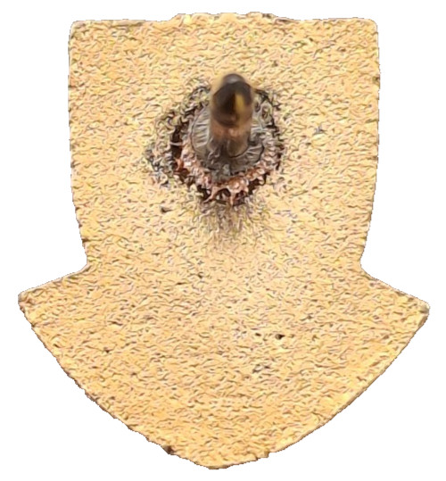 Exeter Cathedral Small Pin Badge Devon