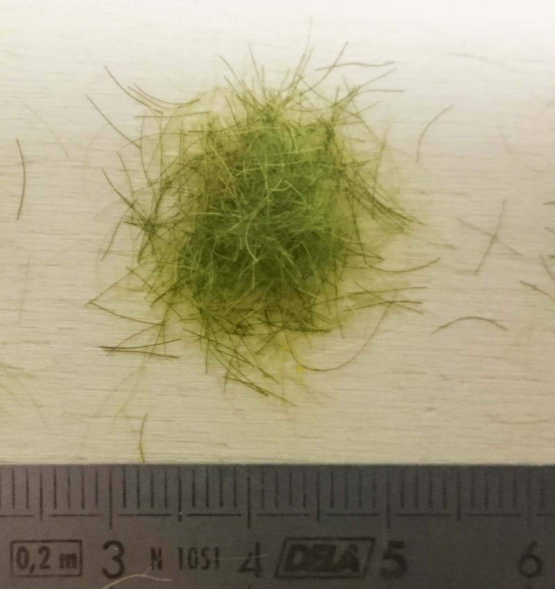 GRASS FLOCKING 6MM MEDIUM GREEN - Artisan32 - 05311