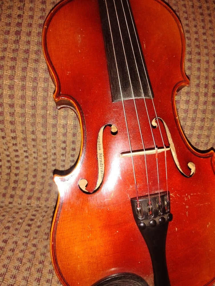 Violin