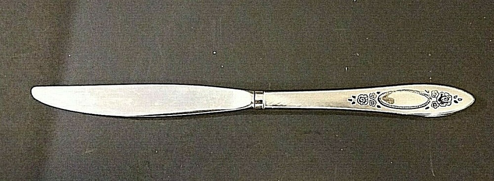Oneida Vignette Stainless Dinner Knife 9 1/4"
