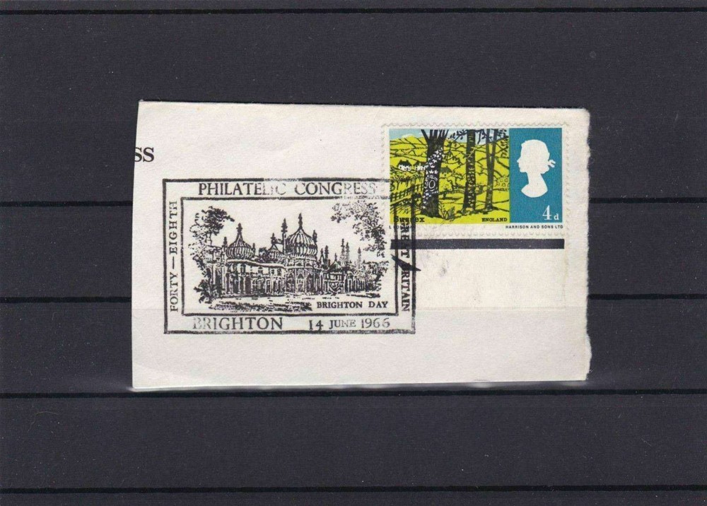 BRIGHTON DAY 1966 PHILATELIC CONGRESS HAND STAMP ON PIECE   REF 3027