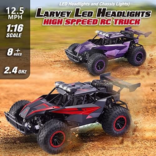 1:16 Scale Remote Control Car, 20 Km/h High Speed Remote Crimson Thunder