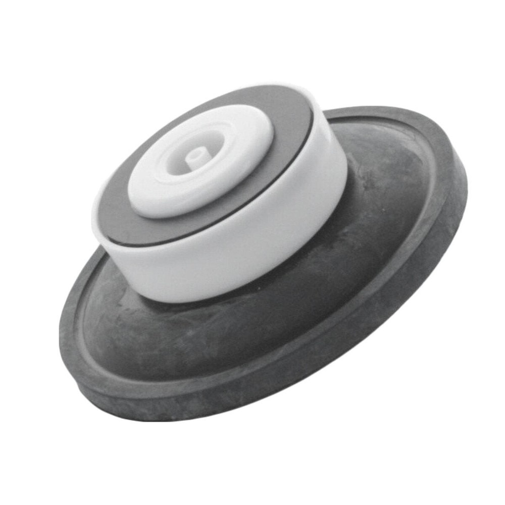 Toro Diaphragm Assembly 1 in. for 250 252 and 260