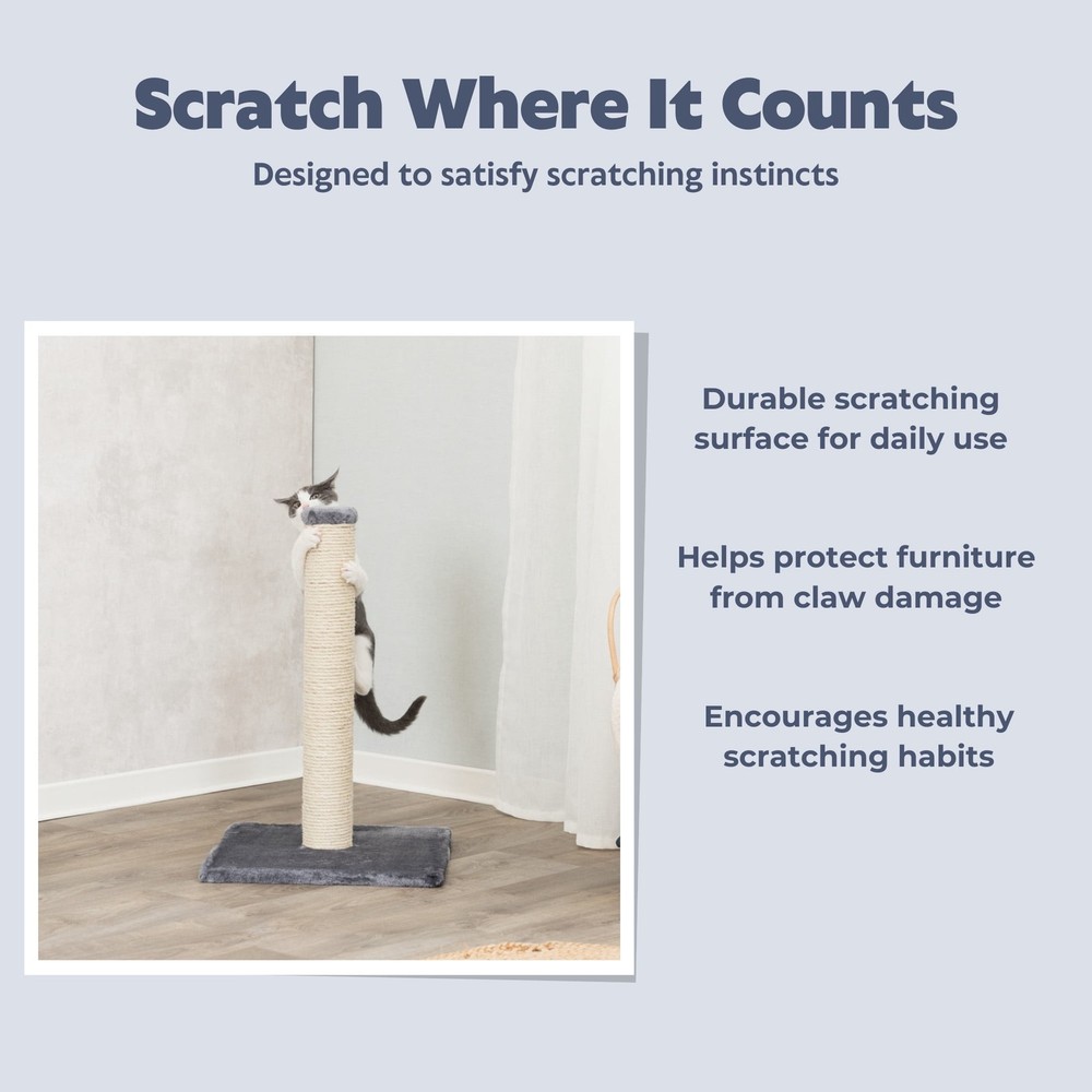 Parla Sisal 24.5" Cat Scratching Post with Plush Base, Gray