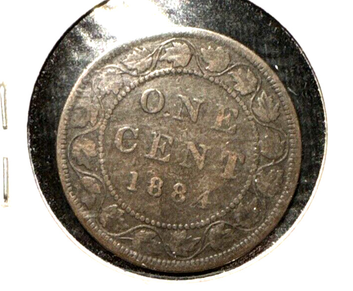 Canada 1884 large cent KM 7 VF (1)
