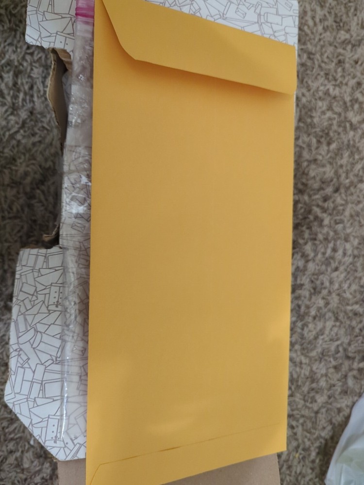 Blank License Plate Envelopes - Moisten & Seal Flap (100 Per Pack)
