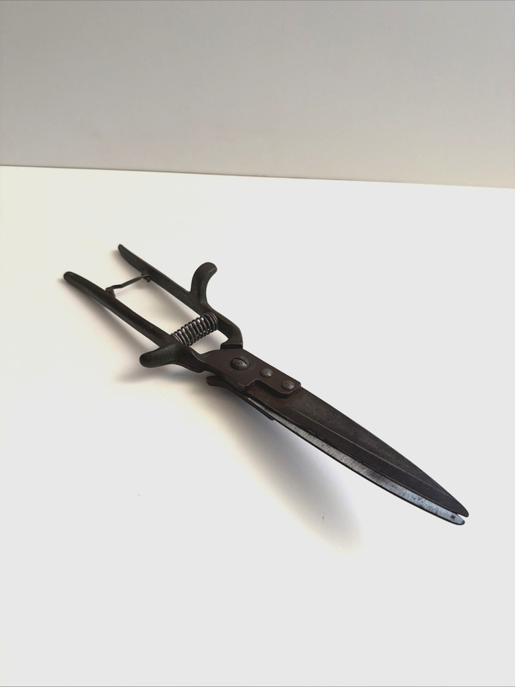 Garden / Grass Shears Vintage 12" Coil Spring Sharp! Nice Old Tool!