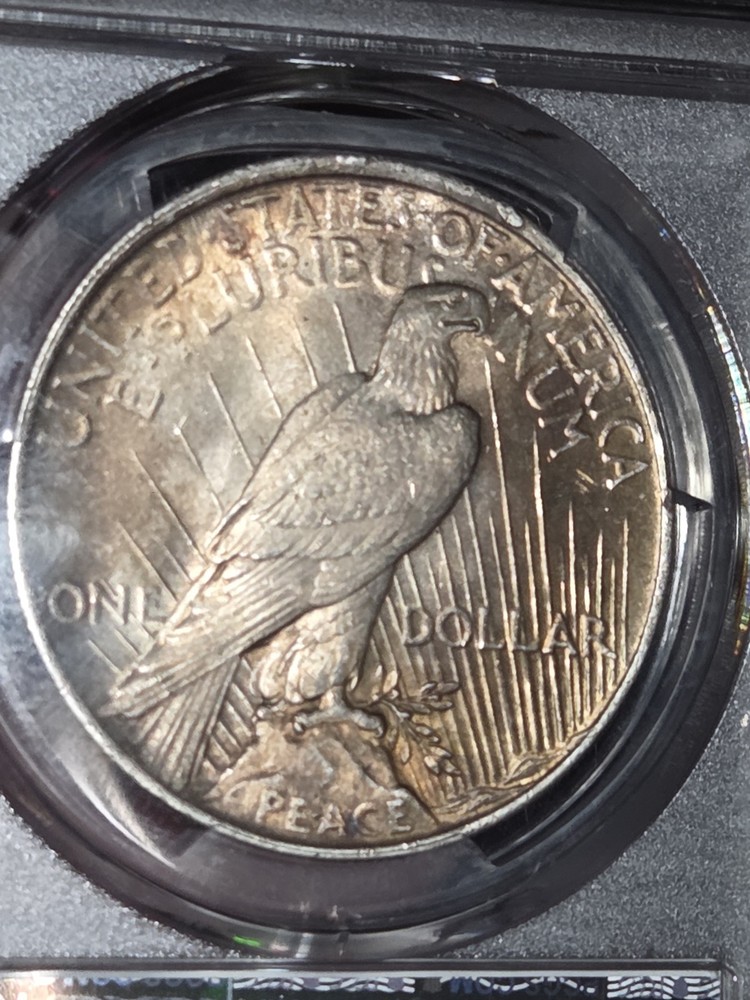 1923 $1 Peace Dollar PCGS MS62 Toned