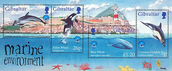 Gibraltar - Marine Environment