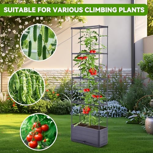 GENMOUS 2 Pack Raised Garden Bed, 4 Tier Rectangular Tomato Planter Box with