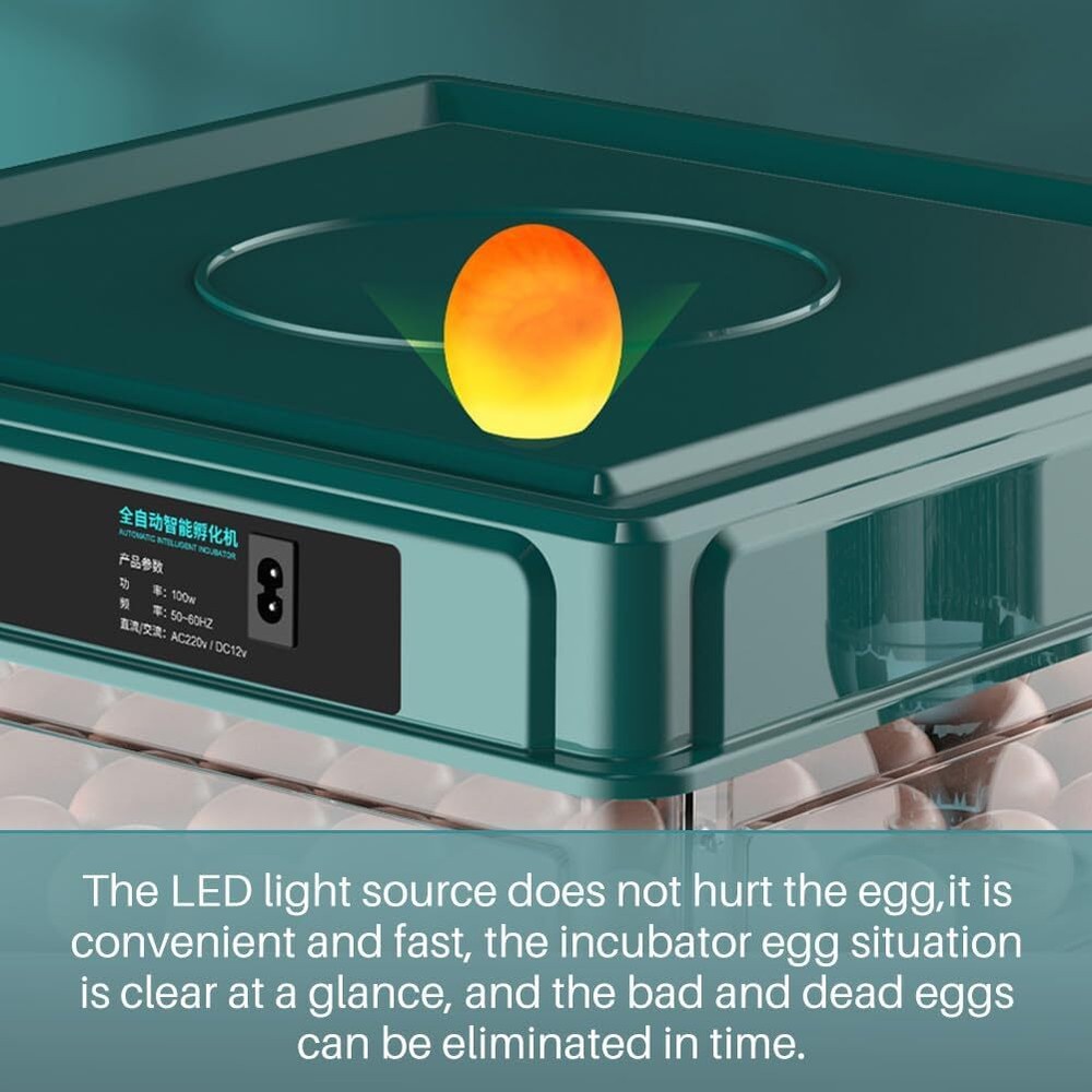 Egg Digital Poultry Hatcher Machine Automatic Egg Turning Temperature & Humidity