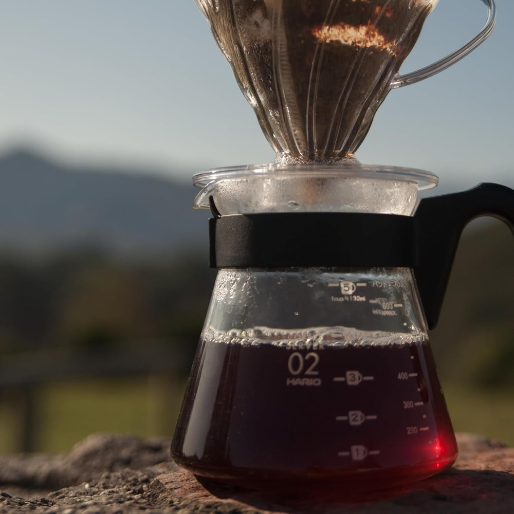 V60 700mL Glass Coffee Server Carafe - Microwave Safe, Black