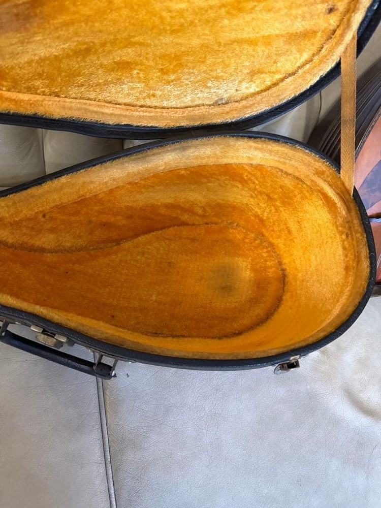 78: Mandolin Spruce body 8 strings