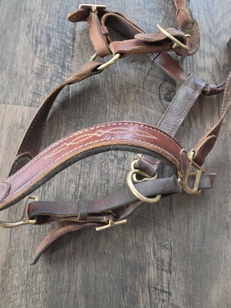 Horse Halter