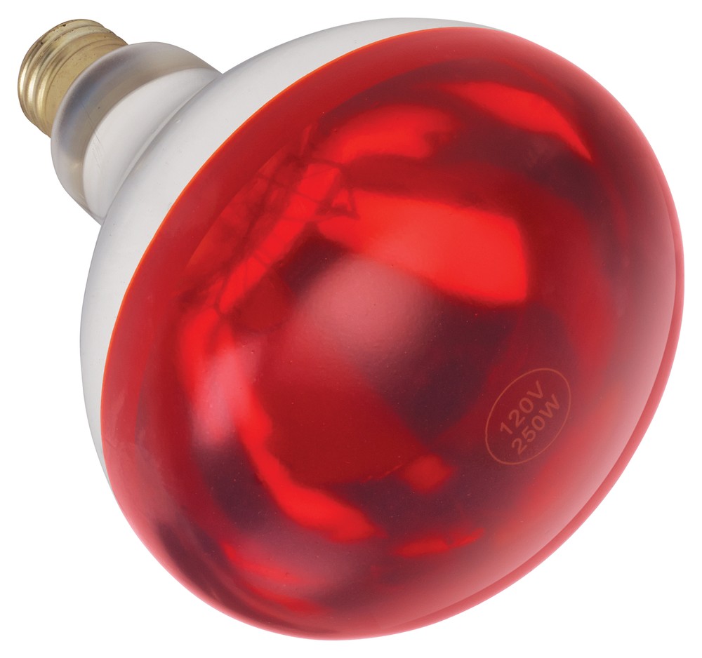 Shatter-Resistant Bulb, Red, 250W (12 Each)