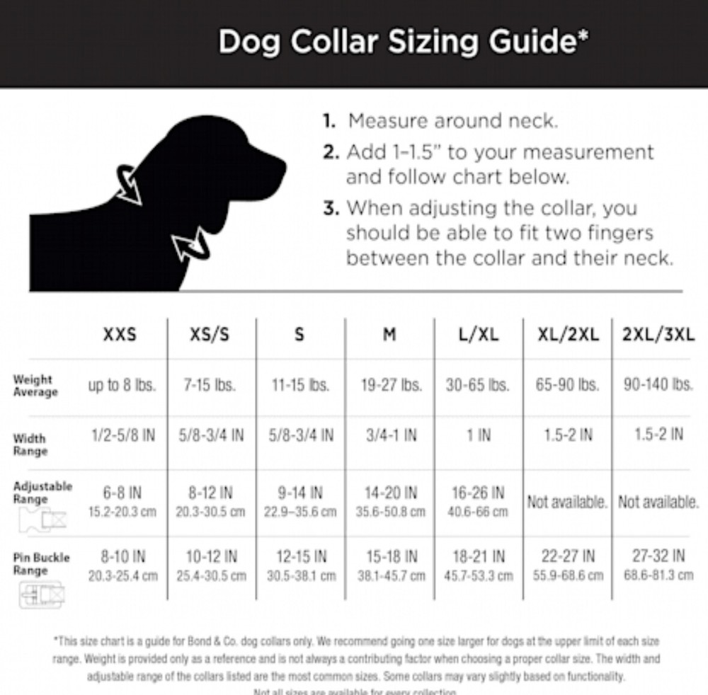 YOULY the Wanderer Fig Leaf Dog Collar, S