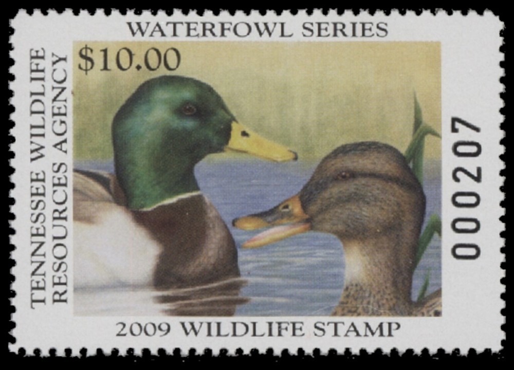 2009  Tennessee State Duck Stamp Mint Never Hinged. Original Gum
