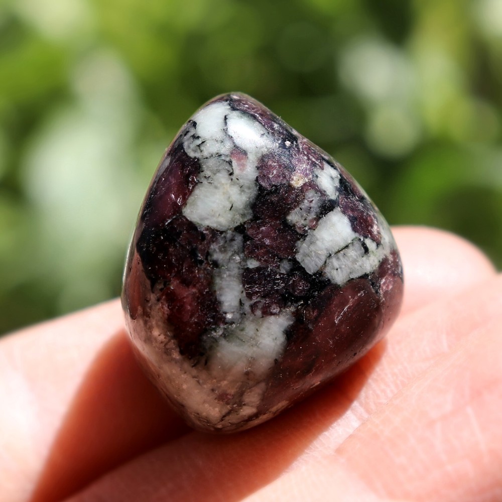 Polished Eudialyte, Fluorescent Mineral (EUD21)