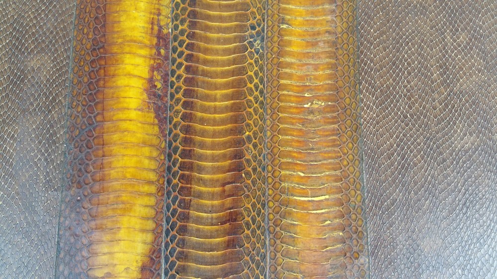 70'S EXOTIC SNAKESKIN TRUNK WITH SCROLLED IRON LEGS