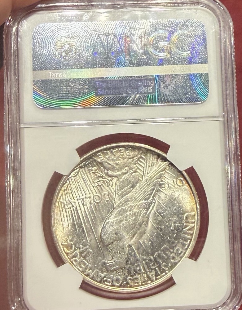 1923 D Peace Dollar NGC MS63