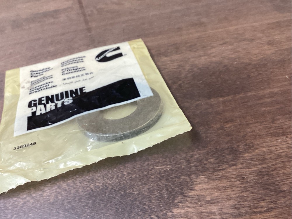 CUMMINS WASHER,PLAIN 3818463