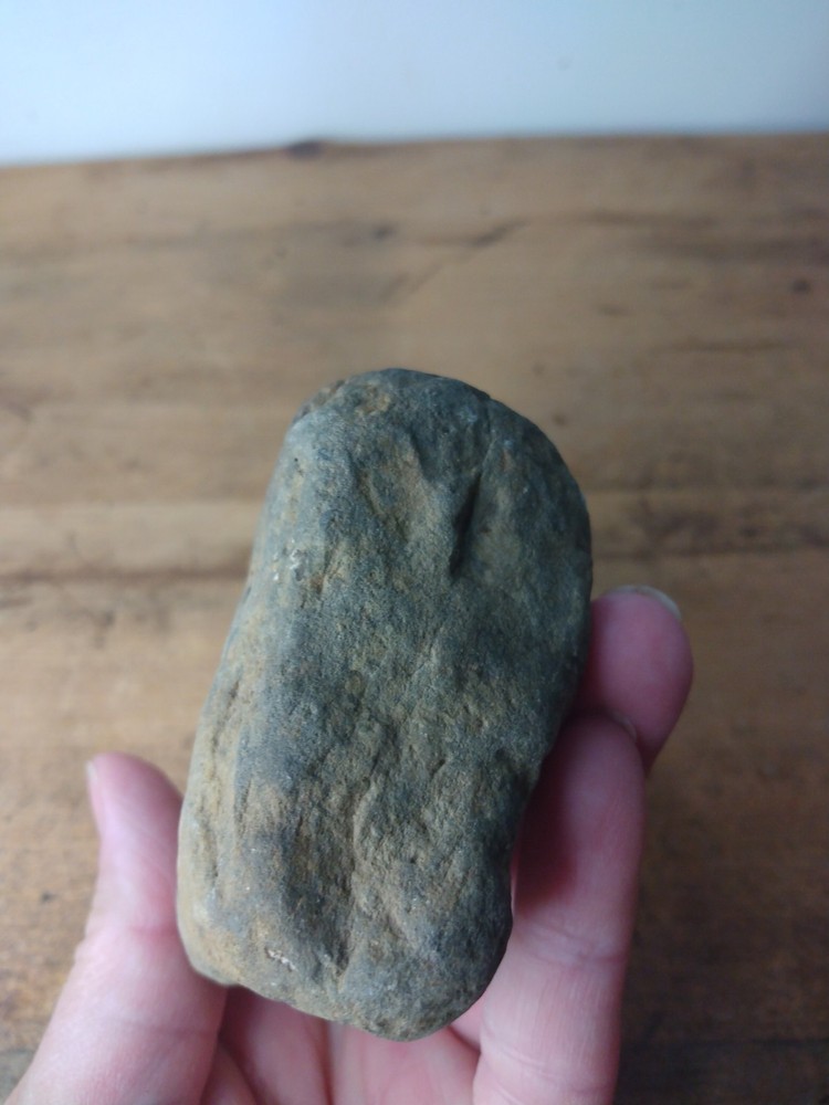 Fossil Worm Trail Segmented Segments Found Ozarks Arkansas Unusual