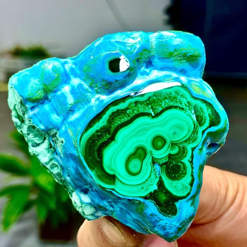172G Natural Chrysocolla/Malachite transparent cluster rough mineral sample
