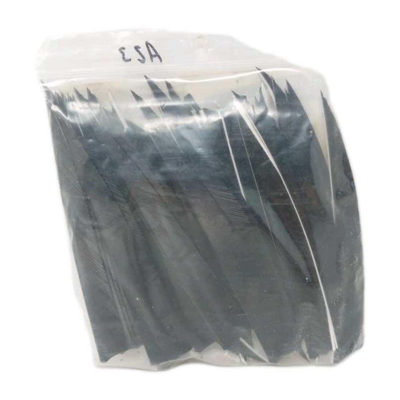 55 Count Gateway Archery Arrow Feathers 5" Left Wing: Shield Jet Black