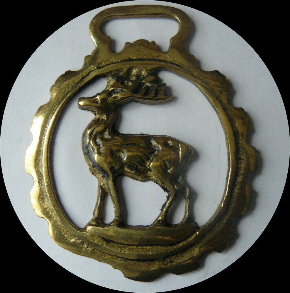 STAG  horse brass (6579)