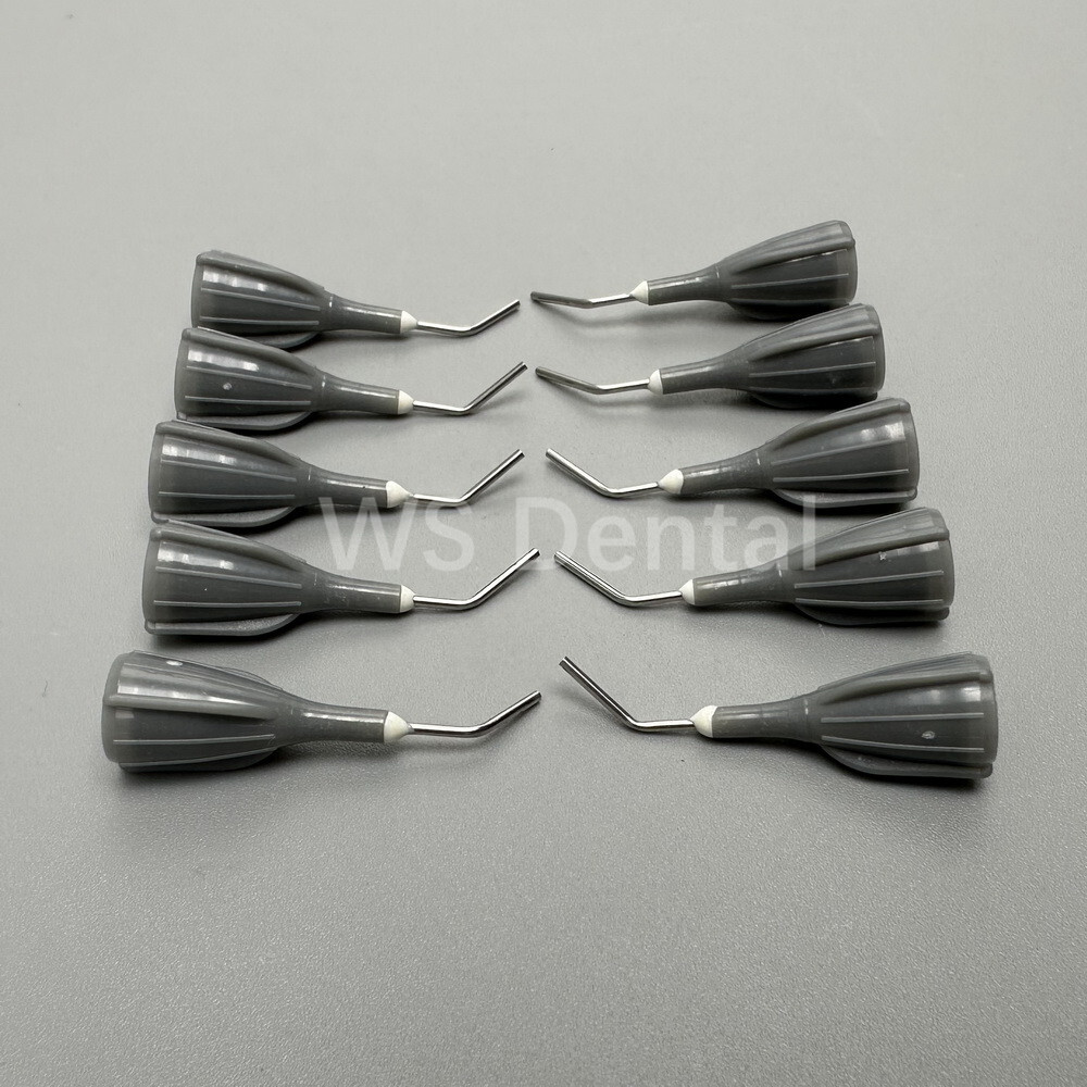 Dental Delivery Tips Flow Composite Resin Conveyor Flowable Syringe Needle Tip