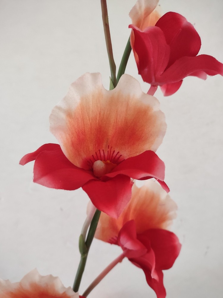 Artificial miltoniopsis orchid stem CORAL/PEACH