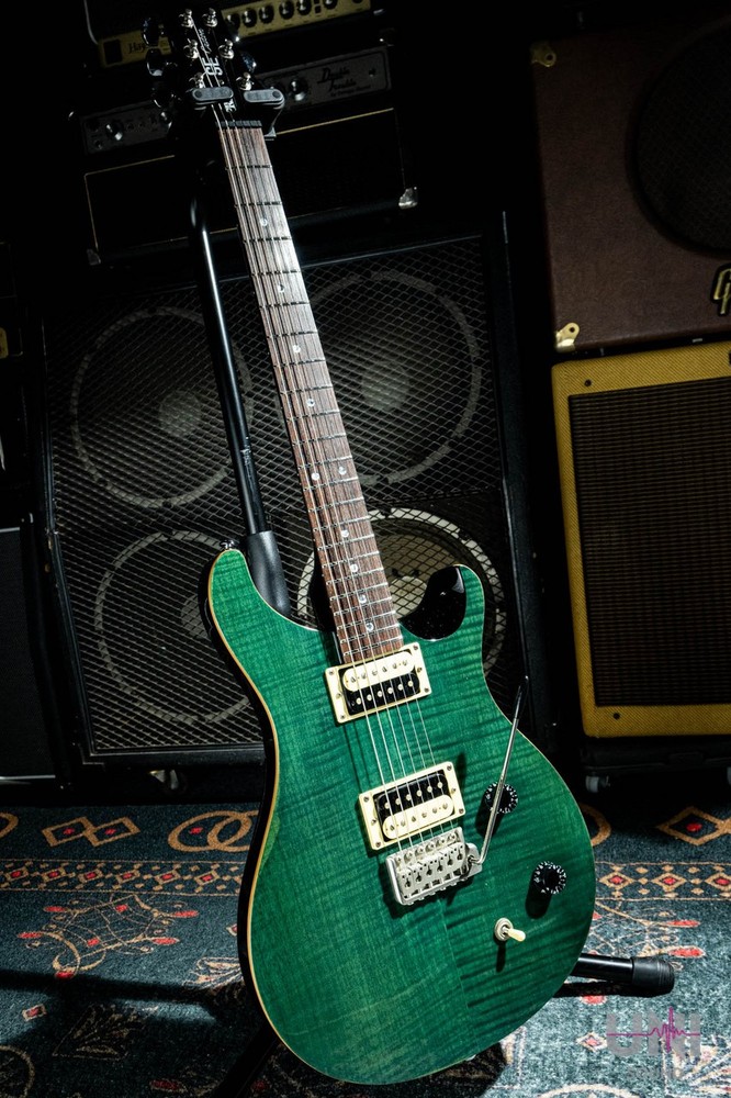 Paul Reed Smith (PRS) SE Custom / 2008 (no260422)