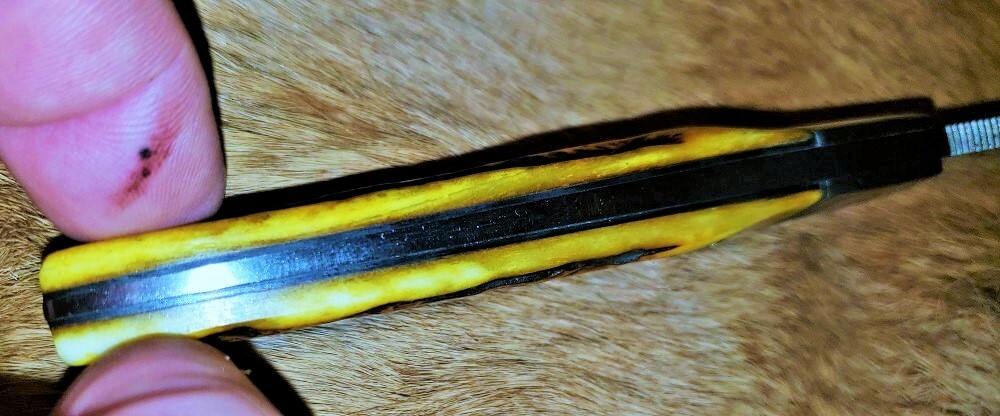 Klaas Bone Handle Custom Hunter - Fixed Blade Hunting Knife & Sheath