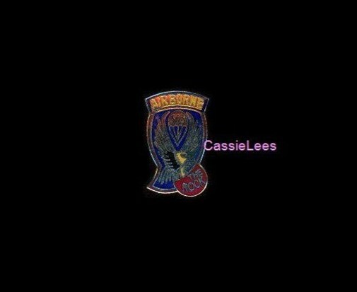 USA 503rd A/B + a custom promo pin