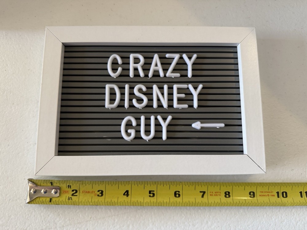 Crazy Disney Guy Sign