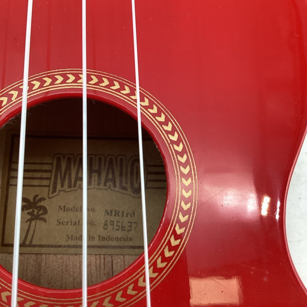 Ukelele with Kinsman Hard Case