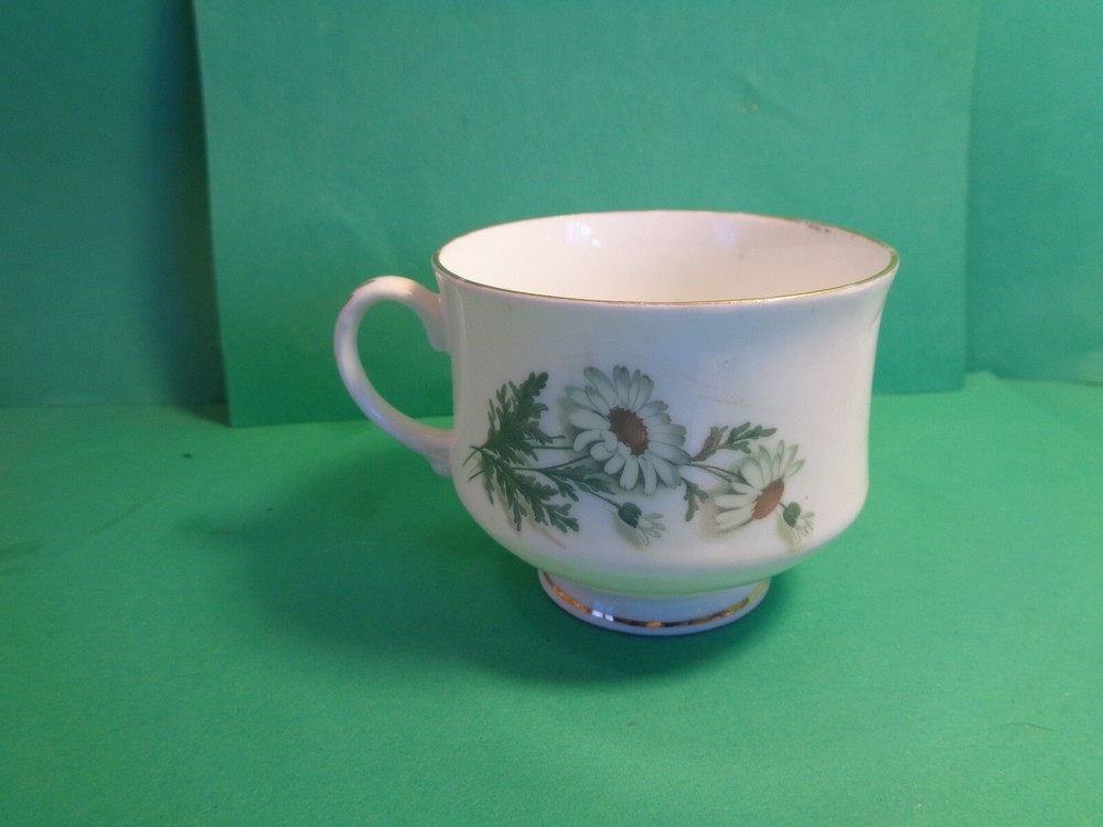 Daisy Pattern Cup & Saucer, Royal Bengal, India (Used)